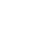 brain icon