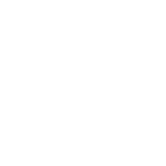 bug icon