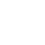 bullhorn icon