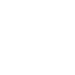 t-shirt icon