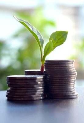 green-coins