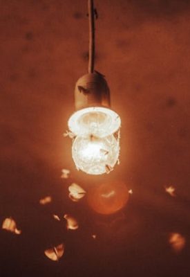 insects flying around a lightbulb