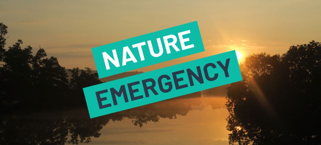 a beautiful river landscape at sunset with the words 'Nature Emergency' blazoned across it