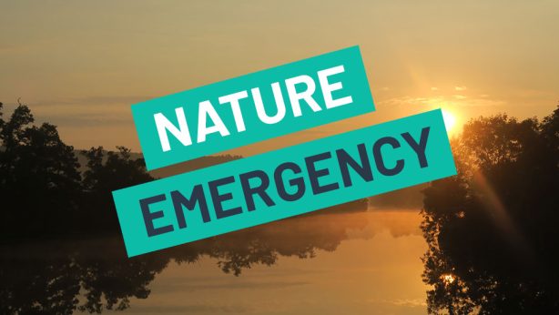 a beautiful river landscape at sunset with the words 'Nature Emergency' blazoned across it