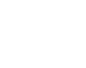 t-shirt icon